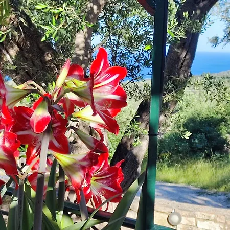 Casa Tereza *