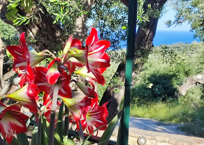 Casa Tereza *