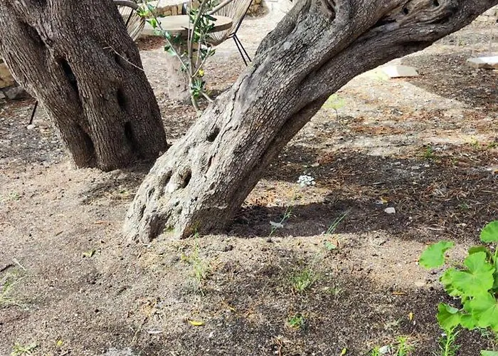 Nyaraló Casa Tereza